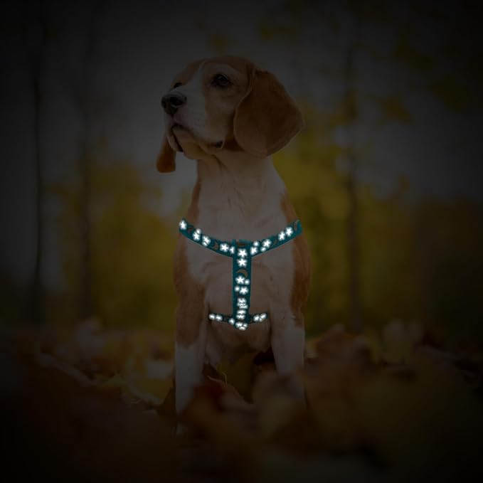 PUPTECK No Pull Dog Harness Soft Adjustable Basic Nylon Step in Puppy Vest Outdoor Walking with ID Tag, Moon Star Sky Blue, S