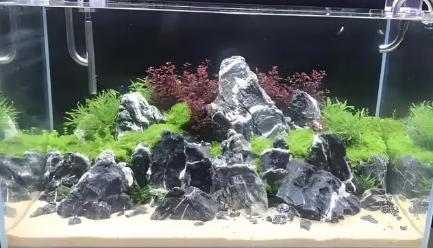 Dragon Stone Aquarium Rock Seiryu Stone for Aquariums, Fish Tanks, Bonsai, Terrariums, Wargaming Dioramas, Indoor or Outdoor Gardens-40Lb(2-10 Inch)