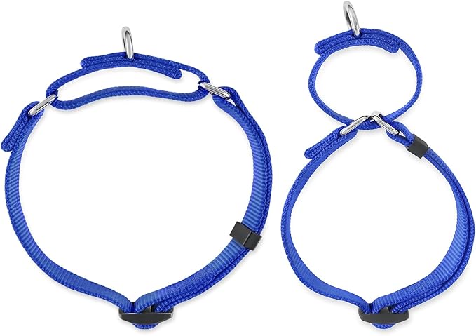 Hyhug Martingale Dog Collar Without Buckle: Escape Proof, No Slip Heavy Duty Nylon, Colorfast and Adjustable Pet Supplies for Medium Breeds (Medium,Bright Blue)