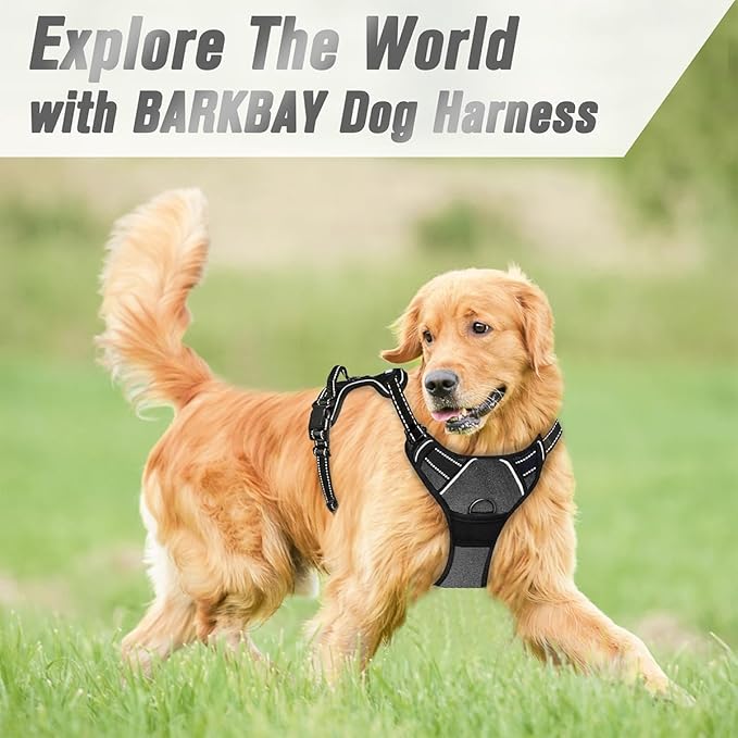 BARKBAY No Pull Dog Harness Front Clip Heavy Duty Reflective Easy Control Handle for Large Dog Walking(Dark Grey,L)