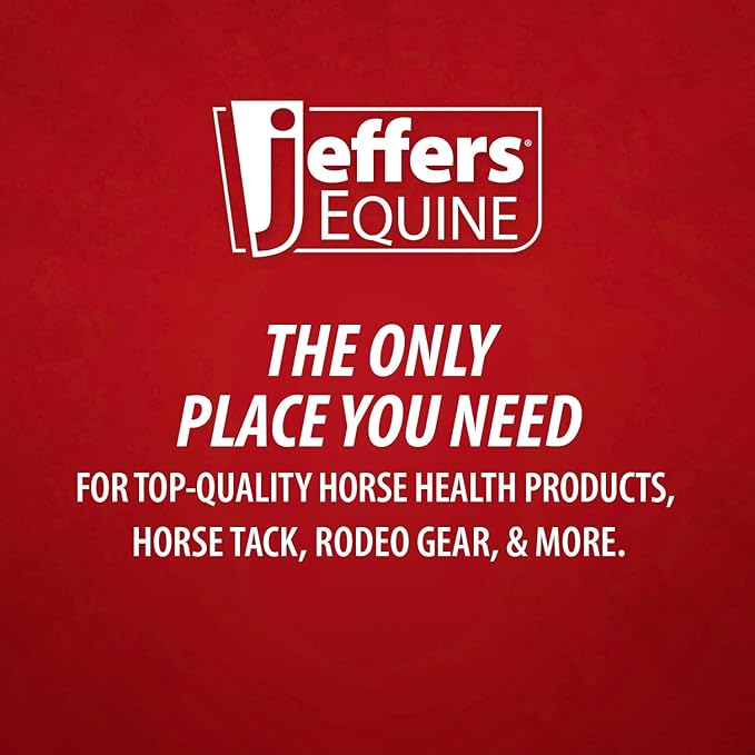 Jeffers Equine Protective Horse Boots 1 Pair Grey - Safe Neoprene Leg Guards & Comfortable Fit, Durable Strap Closures, Front & Hind Support, Equestrian Accessories for Travel & Riding - Large