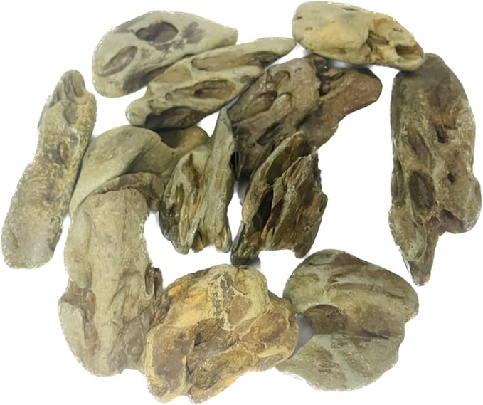 Natural Stone Aquarium Decoration 4.4 lb Dragon Stone Aquascaping Rock Mixed Sizes for Micro Landscape Fish Tank Decor