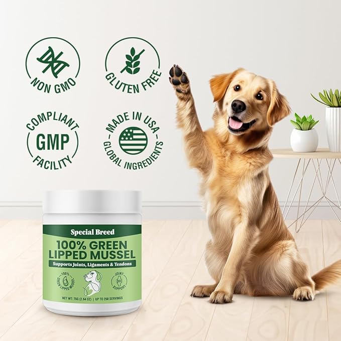 Green Lipped Mussel Powder for Dogs & Cats - 100% New Zealand Green Lipped Mussels - Natural Hip & Joint Supplement for Joints, Tendons, Ligaments, Muscles - 75 Grams - Up to 250 Servings