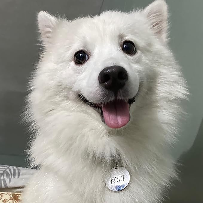 316 Surgical Grade Stainless Steel Personalized Dog & Cat ID Tags - Made with Three Thousand Love for Our Fur-Baby - Original Funny Shapes Heart, Engraved Name or Text for Pet Collar Accessories