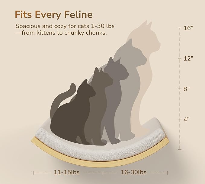 Cat Wall Shelves with Cats Window Perch – 4-Piece Wooden Cat Climbing Furniture Set with Soft Foam Curved Bed, Flat Shelf & 2 Wall 4-Steps Ladders