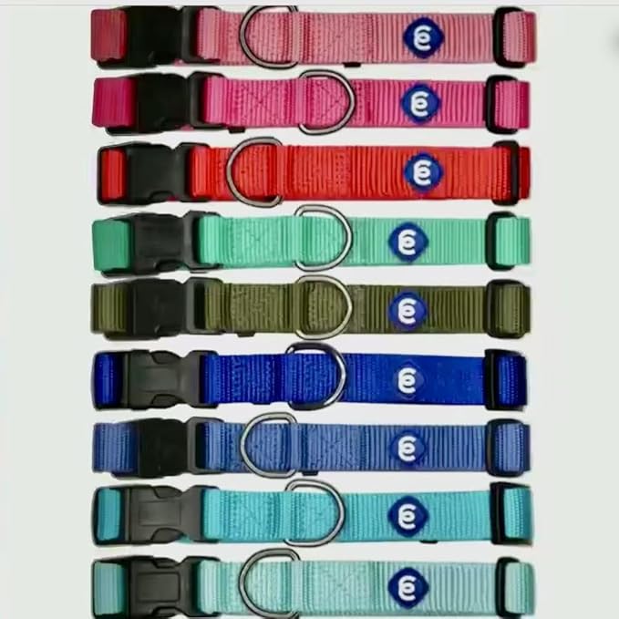 Blueberry Pet Essentials Medium Dog Collar in Flint Gray | Adjustable & Eco-Friendly Durable Nylon Strap | Classic Collar for Medium Dogs, Boy & Girl Pets