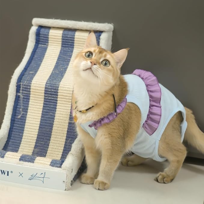 Cat Recovery Suit,Kitten Onesie After Surgery,E-Collar Alternative for Abdominal Wound and Skin Diseases,Soft Breathable Bodysuit After Spay(Blue-XL)