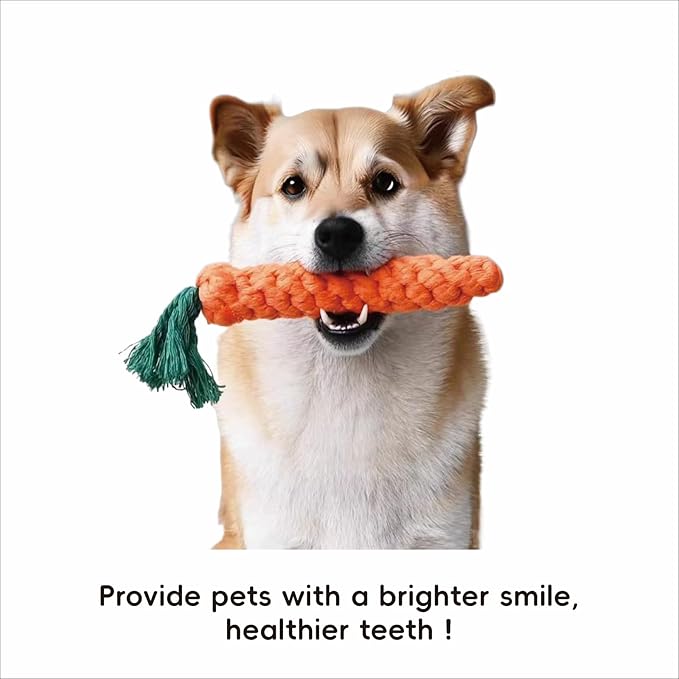 Dental Care for Pets - Dog Tooth Brushing Kit, Dog Toothpaste, Cat Toothbrush kit, Pet chew Toys, Dog Teeth Cleaning, 5 in 1 KIT for Large and Small Pets, Pets are Durable in Use !