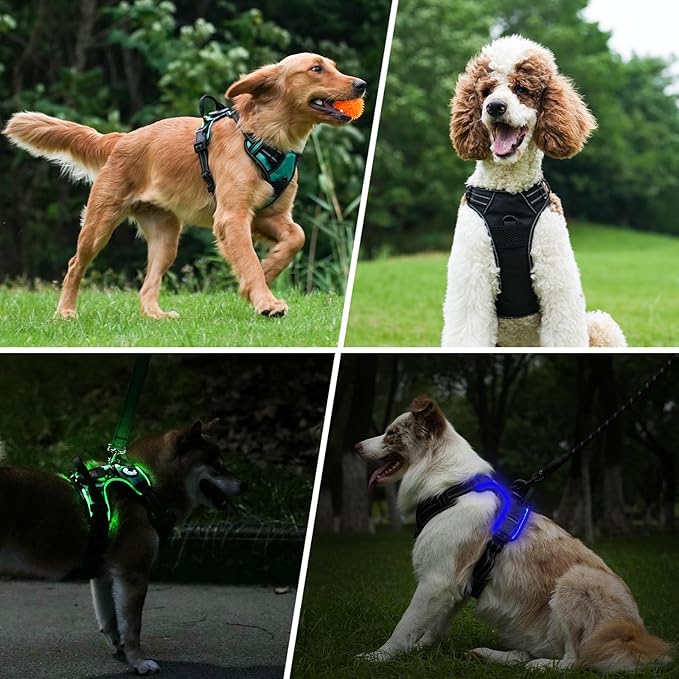 Taglory Light Up Dog Harness, Rechargeable No Pull Dog Vest with 3 Lightning Modes, Reflective Dog Harness with 2 Leash Clips & 4 Adjustable Slide Strips for Medium Dogs, Purple-Orange, M