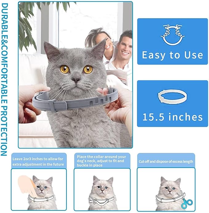 Flea Collar for Cats, Flea and Tick Collars for Cats and Kittens, 8 Month Protection, Gray, 1 Pack CAT