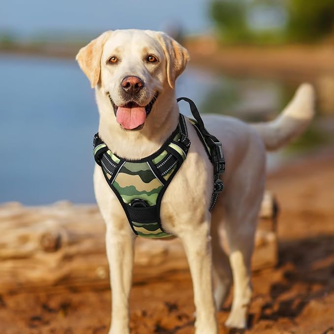 rabbitgoo Dog Harness No Pull with 2 Leash Clips, Adjustable Soft Padded, Reflective Oxford No Choke Pet Vest with Easy Control Handle for Large Dogs, Green Mountain,L