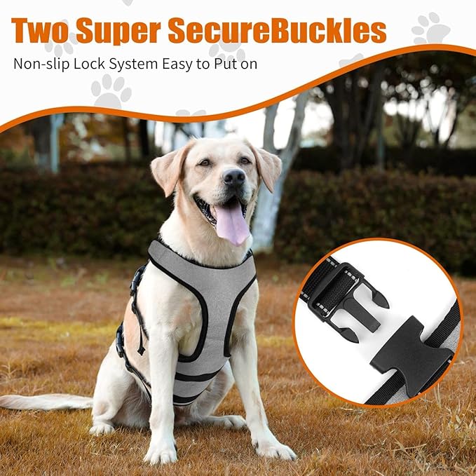 Ayquez Dog Lift Harness with Storage and Transport Bag, Dog Harness with Handle for Lifting & Hip dysplasia, arnés para Perros pequeños, pechera para Perros (Gray, XL)