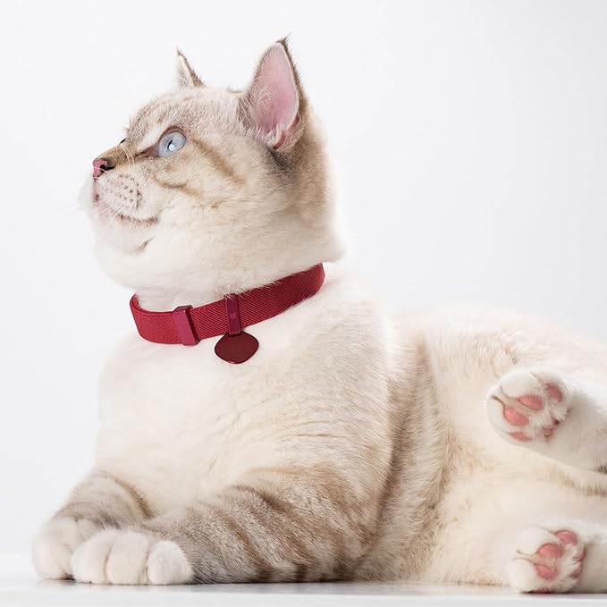 Safety Cat Collar Pro and Tag Set - U.S. IDA Gold Award, Elastic Release Cat Collar Charm Tag, Non Breakaway Cat Collar Adjustable with Charm for Kitten Small Large Cats (Sierra Blue, M)