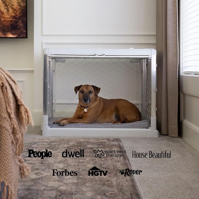 DIGGS Revol Collapsible Dog Crate with Wheels - Premium Portable Dog Crate - Safe, Stylish, and Convenient Indoor Kennel (Smoke, Large)