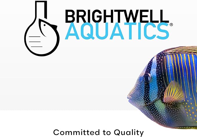 Brightwell Aquatics Rēplenish – Premium Trace & Minor Element Supplement for Marine Aquariums, Supports Healthy Fish, Corals, and Invertebrates, 125 ml