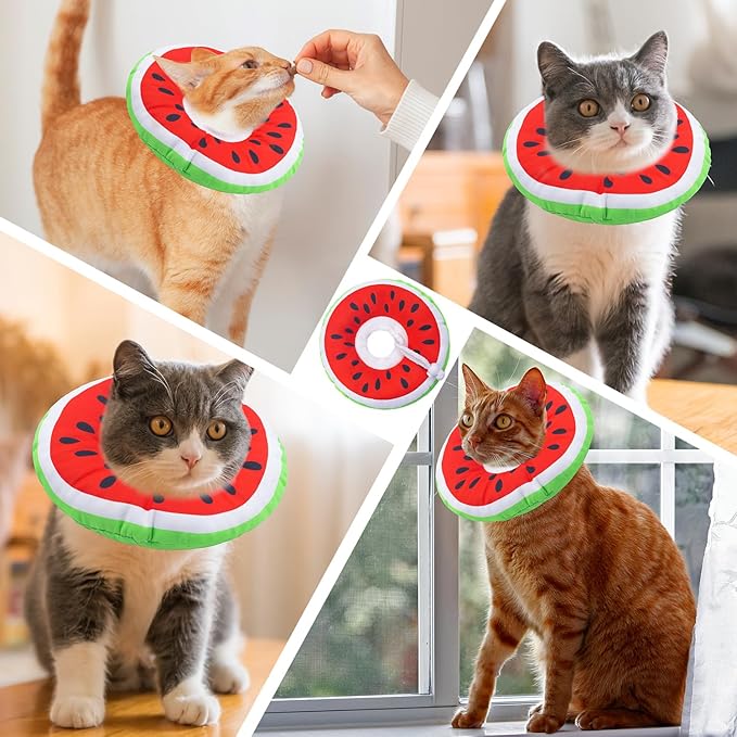 Cat Cone Collar Soft, Adjustable Cat Recovery Collars Kitten Cones to Stop Licking, Cute Donut E Collar After Surgery, Wound Healing Elizabethan Collar for Kittens (Watermelon, Medium)