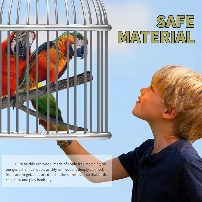 Bird Toys, Natural Parrot Toys for Small Macaws, Budgies, Lovebirds, Finches, Small and Medium Sized Birds Peppercorn Wood Apple Tree Perch Wood Set