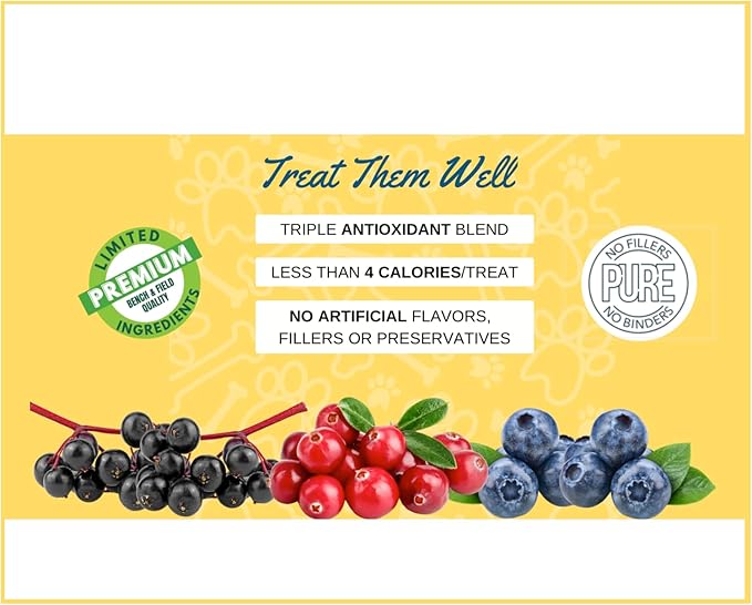 Bench & Field Holistic Natural Salmon & Triple Berry Dog Treats | Crunchy Bone-Shaped Bites | Antioxidant Blend, 10-Ounce Bottle