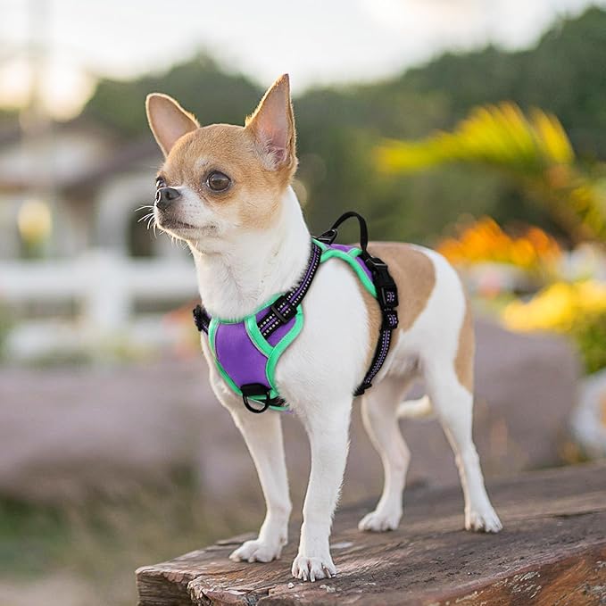 Eagloo Small Dog Harness No Pull, Service Vest with Reflective Strips and Control Handle, Adjustable and Comfortable for Walking, No Choke Pet Harness with 2 Metal Rings, Purple & Green, XS