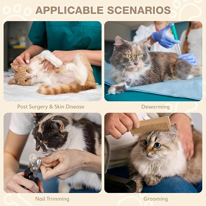 Avont Cat Cone Collar Soft to Stop Licking, Adjustable Foldable Lightweight Kitten Recovery Collar After Surgery for Small Dogs, Elizabeth Cone of Shame Alternative -Grape(S)