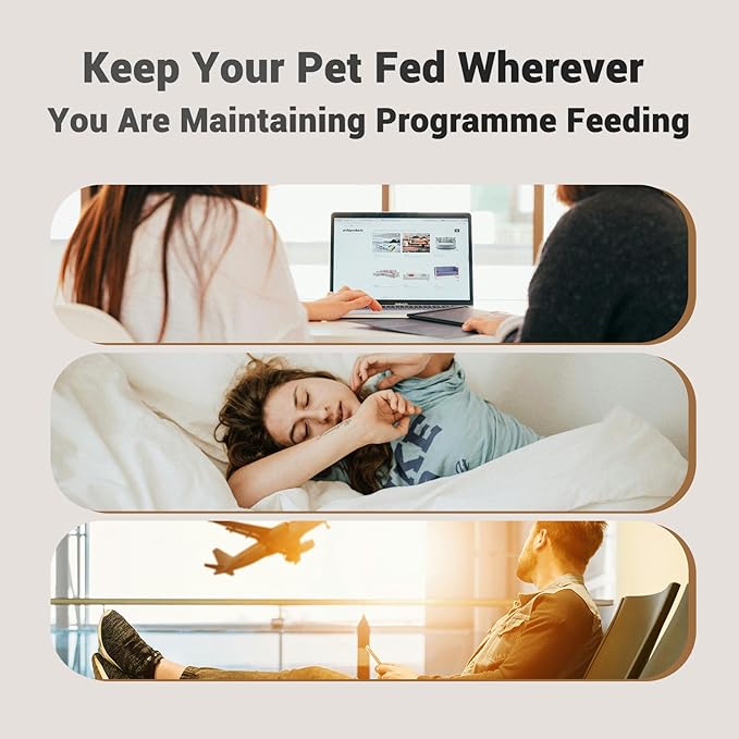Automatic Cat Feeder: 4L Timed Cats Food Dispenser Programmable 1-6 Meal for Cat and Small Medium Dog- Auto Pet Feeder Easy to Set Up Dual Power Supply with Desiccant Bag| Detachable Washable