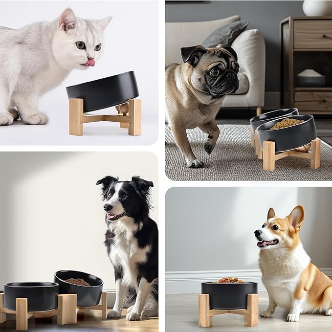 SPUNKYJUNKY 15° Slanted Ceramic Dog and Cat Bowl with Wooden Stand, Tilted Bulldog Food and Water Bowl No Slip Non-Spill for Cats Medium Dogs Big Face Pets 13.5 OZ (1.7 Cups, Black × 2)