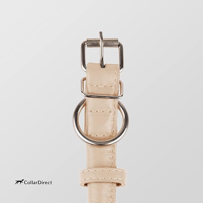 CollarDirect Rolled Leather Dog Collar, Soft Padded Round Puppy Collar, Handmade Genuine Leather Collar Dog Small Large Cat Collars 13 Colors (13-16 Inch, Beige Textured)