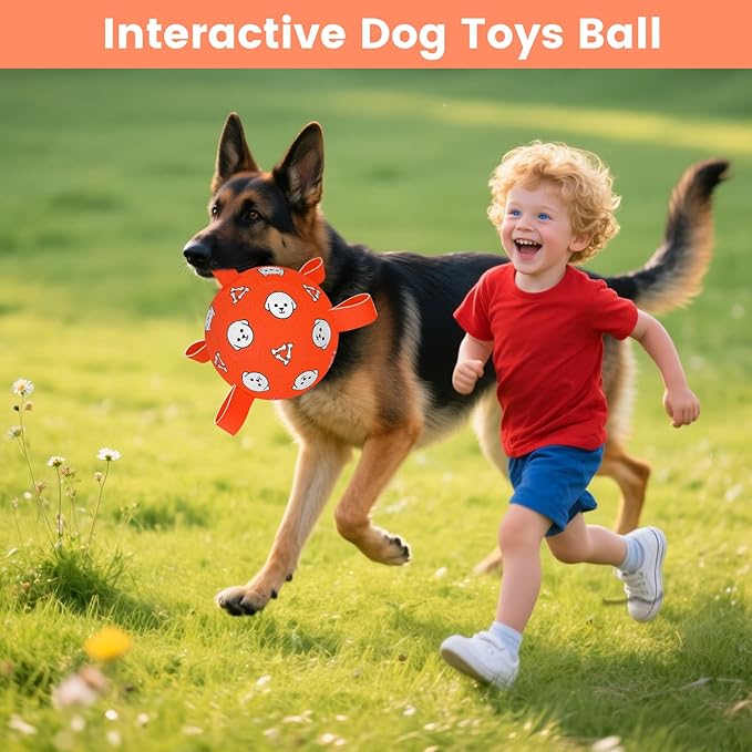 Dog Balls Toy, Durable Soccer Ball with Straps, Interactive Dog Toys, Water Fetch Ball for Tug of War, Herding, Dog Toys to Keep Them Busy – Dog Birthday Gift for Medium Large, 8 Inch