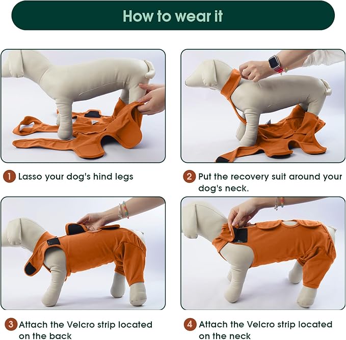 Kuoser Recovery Suit for Back Legs, Thigh Wound Protective Sleeve, Recovery Sleeve for Female Male Dogs, Onesie After Surgery, Pet Surgical Suit for Spay Neuter, Brown L