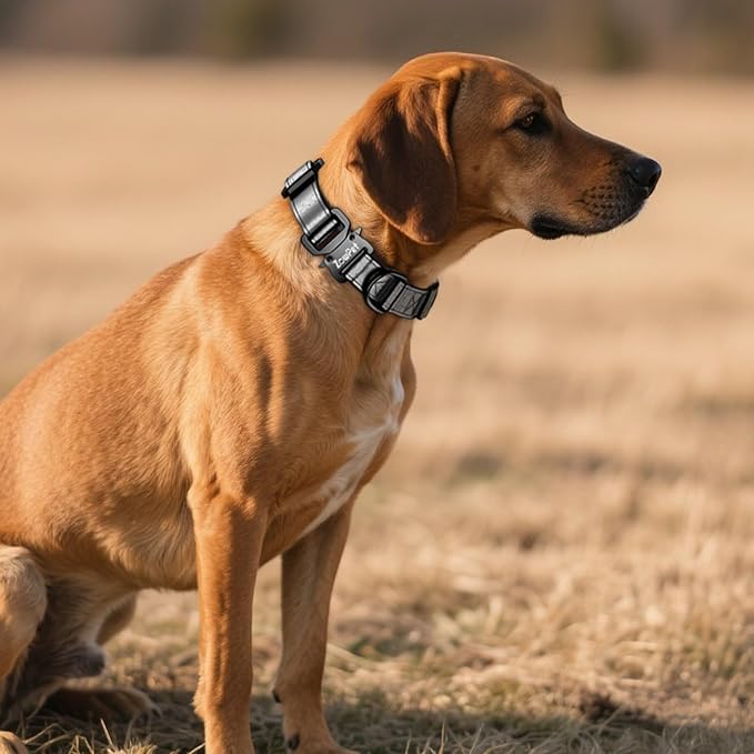 AirTag Dog Collar - Leather Dog Collar with Airtag Holder | IP68 Waterproof AirTag Holder with Metal Buckle, Comfortable GPS Dog Collars Tracker for Medium Large Dogs (Black, L)