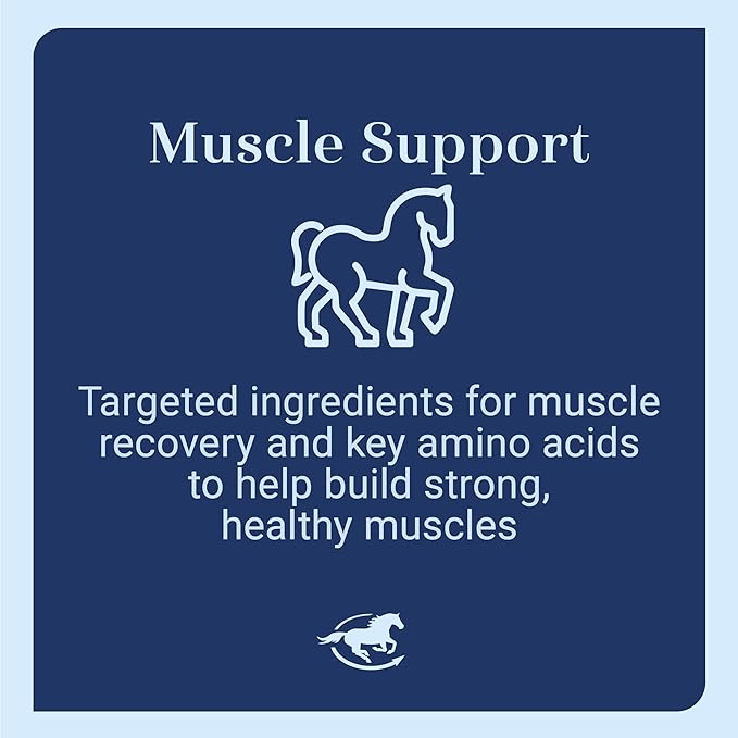 Uckele by SmartEquine Muscle EQ™ Powder | Muscle Supplement with L-Carnitine for Horses | Amino Acid Beta-Alanine for Optimal Muscle Function & Supports Recovery | 4.3 lb Bag