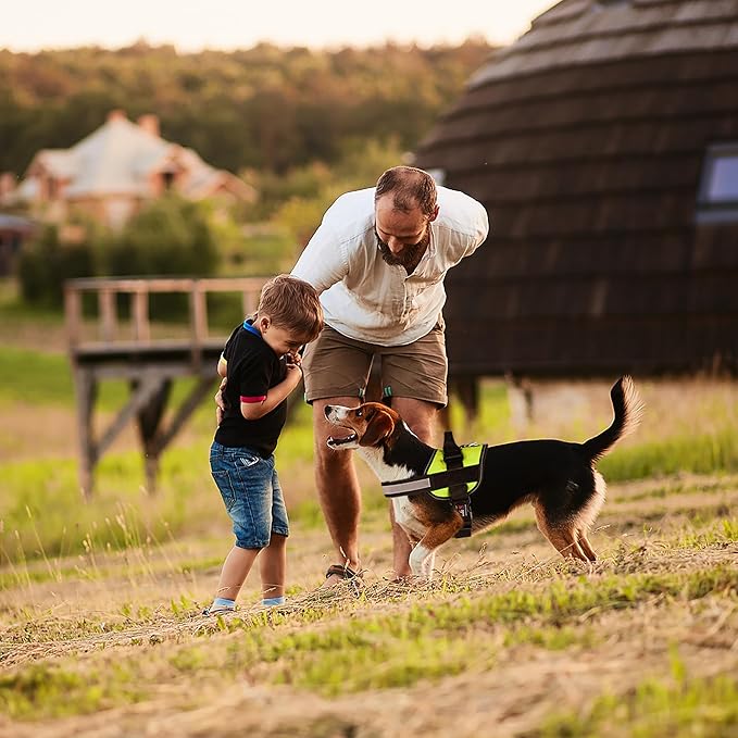 Dogline Dog Harness, Reflective No-Pull Adjustable Vest with Handle for Walking, Training, Breathable, No - Choke Harness for Small, Medium or Large Dogs Room for Patches Girth 18 to 24 in Lime Green