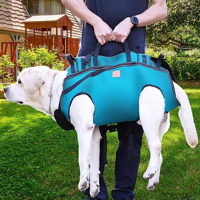 Dog Lift Harness Backpack Carrier for Large Dogs, Full Body Sling with Handle, Dog Harness for Joint Injuries, Arthritis, Ideal for Stairs, Elderly Dogs (Blue XX-Large 50-66 LBS)