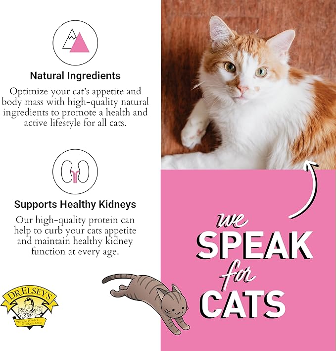 Dr. Elsey's cleanprotein Protein Bites Pork 12 oz.