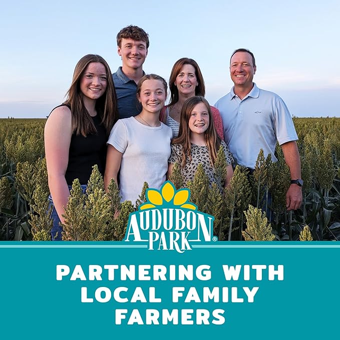 Audubon Park Waste Free Wild Bird Seed –12 lb. No Mess Blend with Sunflower Hearts & Peanut Pieces – Bird Food for Outside Feeders