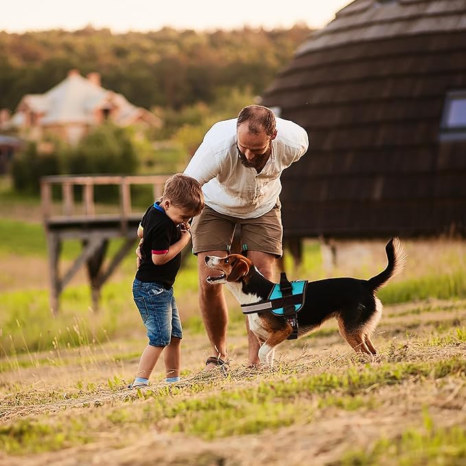 Dogline Dog Harness, Reflective No-Pull Adjustable Vest with Handle for Walking, Training, Breathable, No - Choke Harness for Small, Medium or Large Dogs Room for Patches Girth 33"-46" in Turquoise