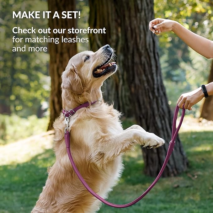 CollarDirect Rolled Leather Dog Collar, Soft Padded Round Puppy Collar, Handmade Genuine Leather Collar Dog Small Large Cat Collars 13 Colors (13-16 Inch, Pink Smooth)