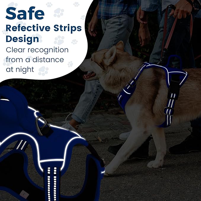 Funfox Dog Harness No Pull, Adjustable Pet Vest Harness, Super Soft Material with Vertical Handle Easy Control, Reflective Night Walking, 2 Leash Clips for Small Sized Dogs, Blue, S
