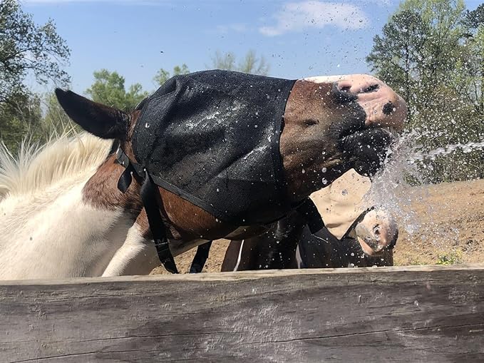 EquiVizor 95% UV Eye Protection (XL) Standard Horse Fly Mask - Help with Uveitis, Corneal Ulcer, Light Sensitivity. Designed to Stay On Your Horse.