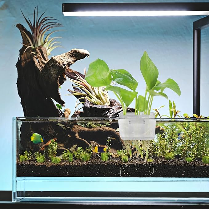 3 Holes Upgraded Aquatic Plant Cup Aquarium Plant Holder for Tank,Hanging Aquarium Plant Holder,Aquarium Aquatic Plant Cultivation,Aquarium Plant Decoration. (White 2PCS)