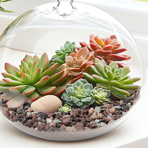 2.5lbs Terrarium Rocks for Pots Indoor, Succulent, Cactus, Bamboo, Bonsai Tree, 1/5 Inch Rocks for Planters Drainage, Mixed Color Small Lava Rocks for Top-Dressing