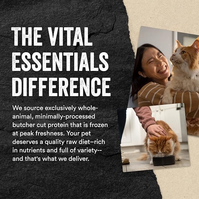 Vital Essentials Freeze Dried Raw Single Ingredient Cat Treats, Chicken Hearts, 0.8 OZ (Pack of 3)