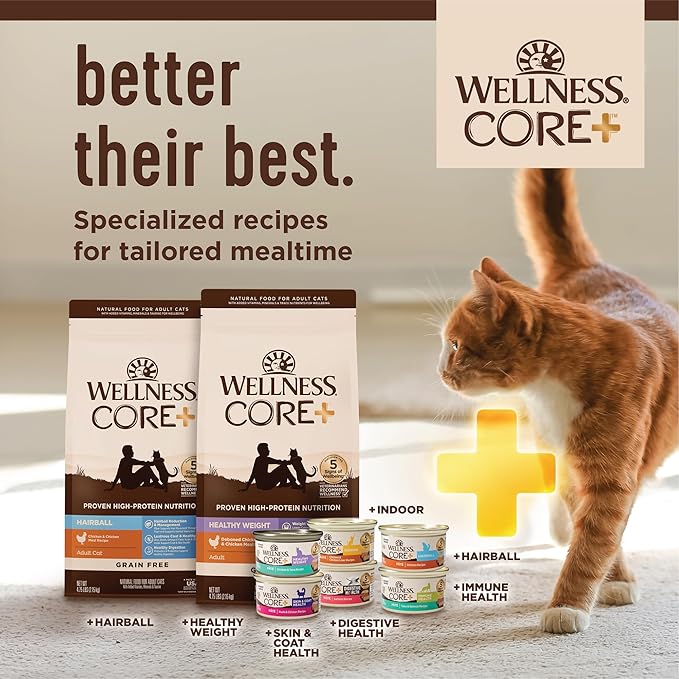 Wellness CORE+ Hairball Pate Adult Wet Cat Food, Natural, Protein-Rich, Grain Free, 2.8 Ounce, 12 Pack (Chicken)