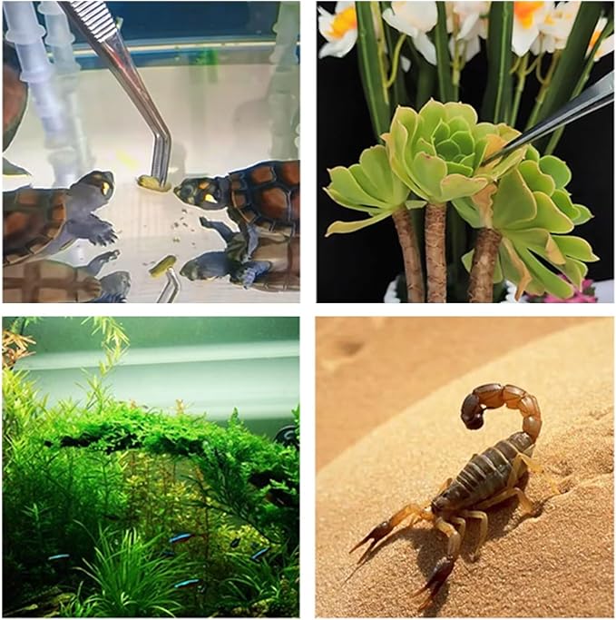 Feeding Tongs 2pcs Stainless Steel Aquarium Long Tweezers 27cm/10.6 inches Straight Curved Tweezers for Fish Tank Aquatic Plants Reptile Lizard Gecko Snake Spider Bird