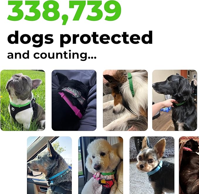 FurLife Flea and Tick Collar for Dogs – Waterproof Red Dog Collar, Pet Supplies for Tick and Flea Prevention for Dogs, Safe for All Breeds