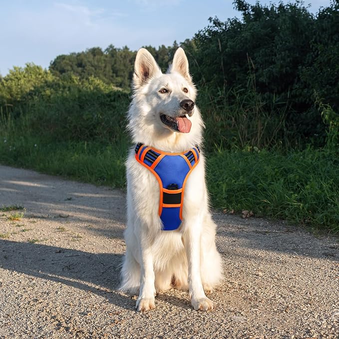 Eagloo Dog Harness for Large Dogs, No Pull Service Vest with Reflective Strips and Control Handle, Adjustable and Comfortable for Walking, No Choke Pet Harness with 2 Metal Rings, Blue & Orange, XL