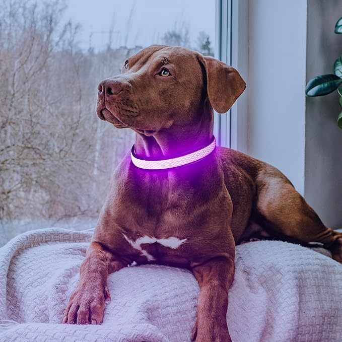 Flashseen LED Dog Collar, Light Up Dog Collar Light USB Rechargeable, Adjustable Comfortable Soft Mesh Safety Collar for Small, Medium, Large Dogs(Large, Purple)