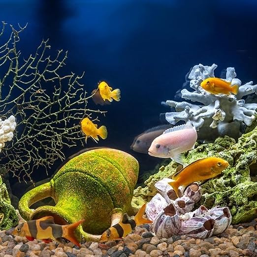 2.5 lbs Drainage Rocks for Potted Plants, 1/5 Inch Small Pebbles for Indoor Plants, Decorative Gravel for Vases, Bamboo, Succulent, Terrarium, Crafts, Cactus