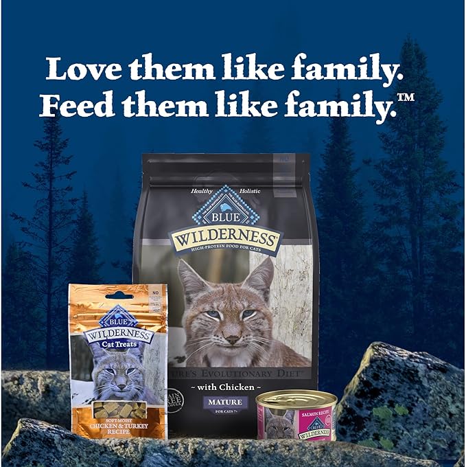 Blue Buffalo Wilderness Natural High-Protein Grain-Free Wet Food for Adult Cats, Salmon Paté, 5.5-oz. Cans, 24 Count