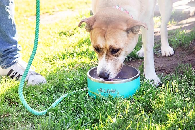Dog Bowl, Dog Water Bowl Vacuum Insulated Stainless Steel, Non-Slip, Spill-Proof, Easy Clean, Keeps Water Cool, Cute, Stylish Pet Bowl, 64 oz, Light Blue, Modern